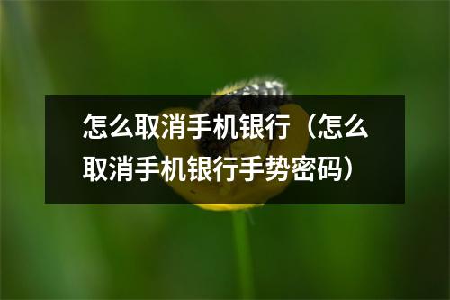 怎么取消手机银行（怎么取消手机银行手势密码）