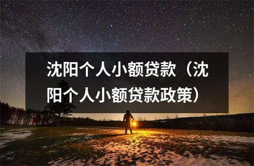 沈阳个人小额贷款（沈阳个人小额贷款政策）