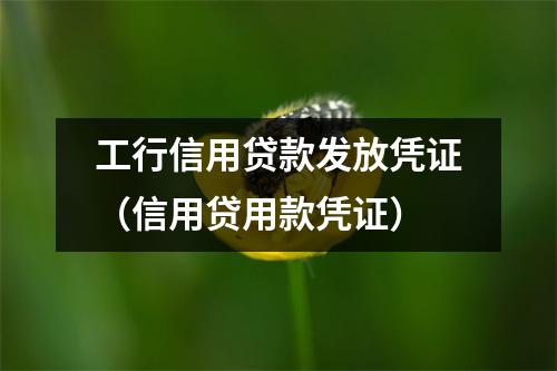 工行信用贷款发放凭证（信用贷用款凭证）