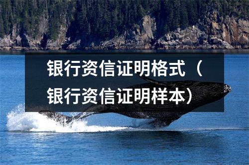 银行资信证明格式（银行资信证明样本）