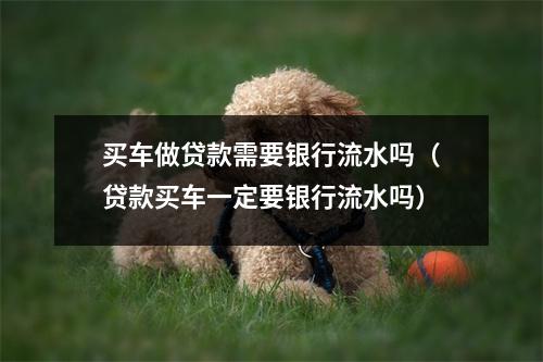买车做贷款需要银行流水吗（贷款买车一定要银行流水吗）