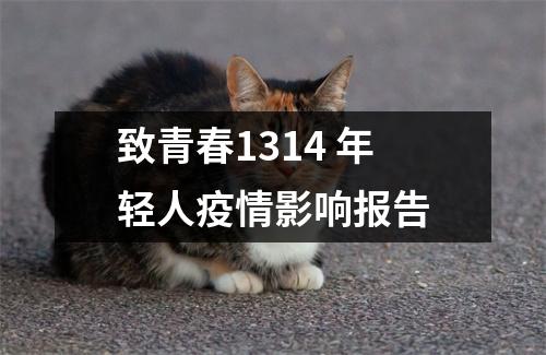 致青春1314 年轻人疫情影响报告