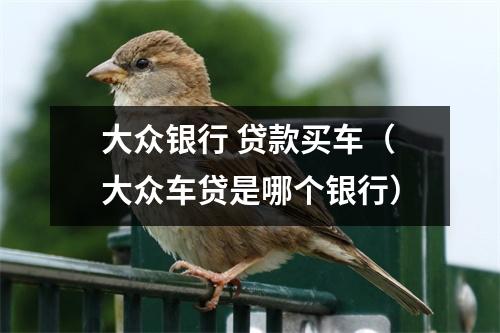 大众银行 贷款买车（大众车贷是哪个银行）