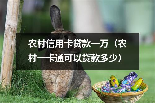 农村信用卡贷款一万（农村一卡通可以贷款多少）