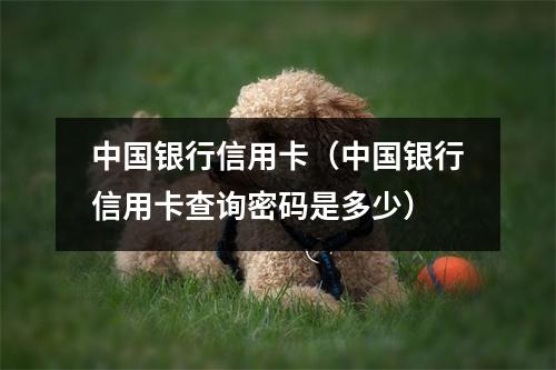 中国银行信用卡(中国银行信用卡查询密码是多少)