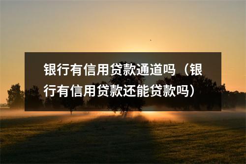 银行有信用贷款通道吗(银行有信用贷款还能贷款吗)