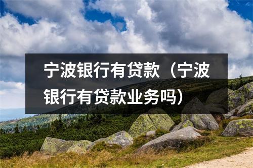 宁波银行有贷款（宁波银行有贷款业务吗）