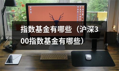 指数基金有哪些（沪深300指数基金有哪些）