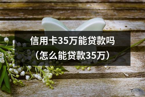 信用卡35万能贷款吗（怎么能贷款35万）