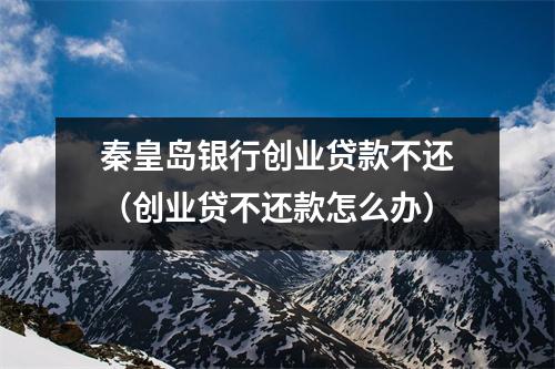 秦皇岛银行创业贷款不还（创业贷不还款怎么办）