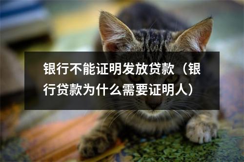 银行不能证明发放贷款（银行贷款为什么需要证明人）