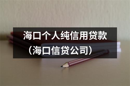 海口个人纯信用贷款(海口信贷公司)