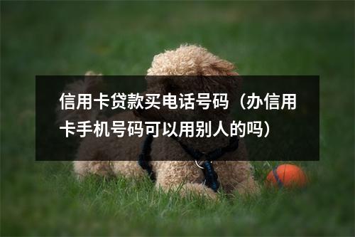 信用卡贷款买电话号码（办信用卡手机号码可以用别人的吗）