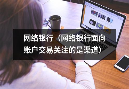 网络银行(网络银行面向账户交易关注的是渠道)