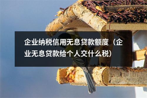 企业纳税信用无息贷款额度（企业无息贷款给个人交什么税）