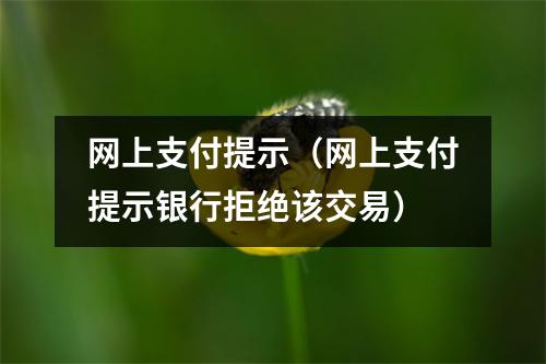 网上支付提示（网上支付提示银行拒绝该交易）