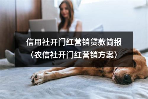 信用社开门红营销贷款简报（农信社开门红营销方案）