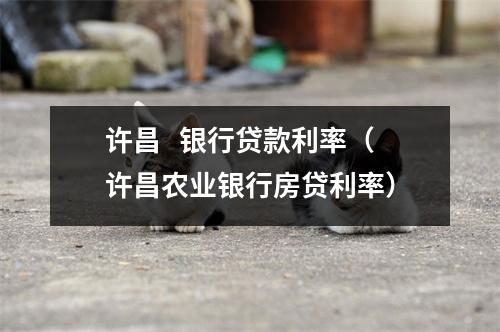许昌   银行贷款利率（许昌农业银行房贷利率）