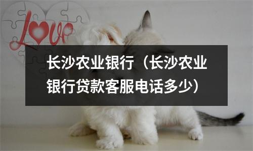 长沙农业银行（长沙农业银行贷款客服电话多少）