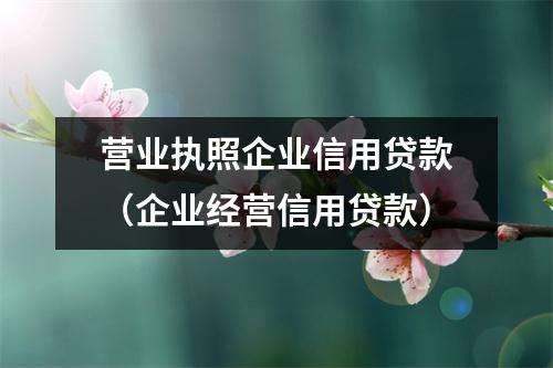 营业执照企业信用贷款（企业经营信用贷款）