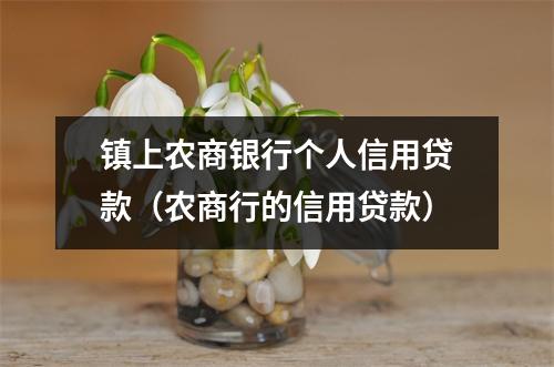 镇上农商银行个人信用贷款（农商行的信用贷款）