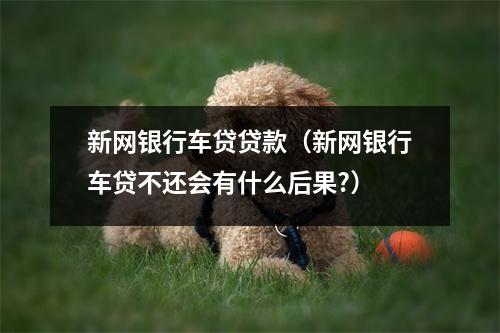 新网银行车贷贷款（新网银行车贷不还会有什么后果?）