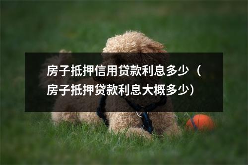 房子抵押信用贷款利息多少（房子抵押贷款利息大概多少）
