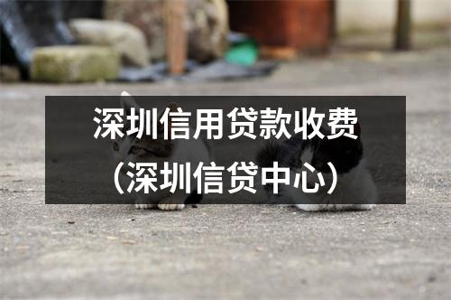 深圳信用贷款收费（深圳信贷中心）