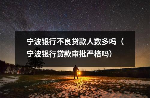 宁波银行不良贷款人数多吗（宁波银行贷款审批严格吗）
