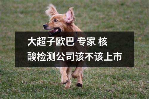 大超子欧巴 专家 核酸检测公司该不该上市