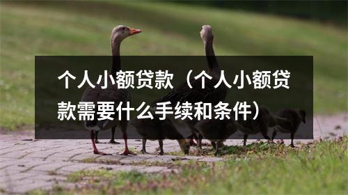 个人小额贷款(个人小额贷款需要什么手续和条件)