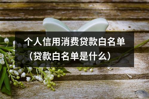 个人信用消费贷款白名单（贷款白名单是什么）