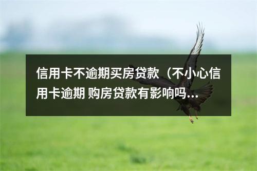 信用卡不逾期买房贷款（不小心信用卡逾期 购房贷款有影响吗）