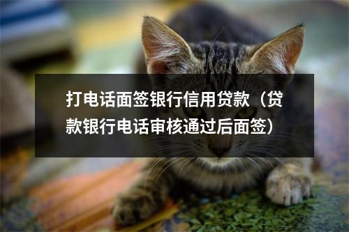 打电话面签银行信用贷款（贷款银行电话审核通过后面签）