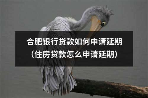 合肥银行贷款如何申请延期（住房贷款怎么申请延期）