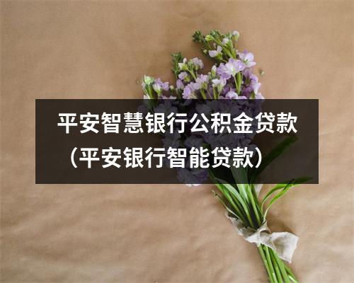 平安智慧银行公积金贷款（平安银行智能贷款）