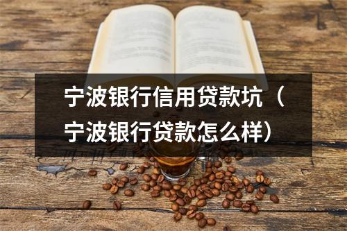 宁波银行信用贷款坑（宁波银行贷款怎么样）