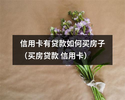 信用卡有贷款如何买房子(买房贷款 信用卡)