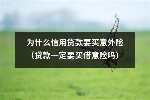 为什么信用贷款要买意外险（贷款一定要买借意险吗）