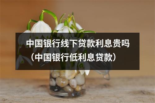 中国银行线下贷款利息贵吗（中国银行低利息贷款）