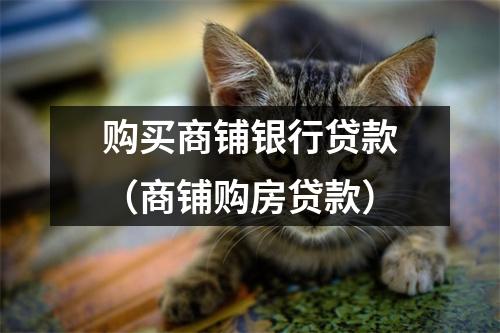 购买商铺银行贷款（商铺购房贷款）