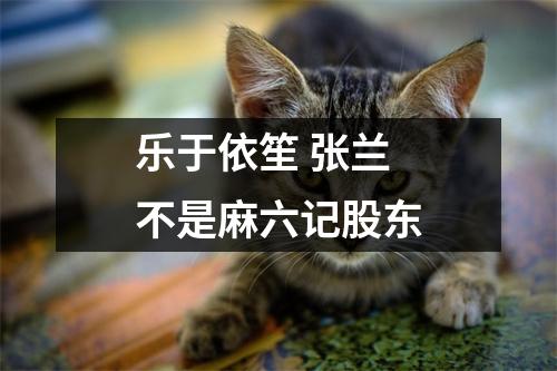 乐于依笙 张兰不是麻六记股东