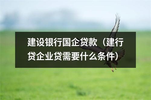 建设银行国企贷款（建行贷企业贷需要什么条件）