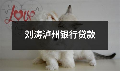 刘涛泸州银行贷款