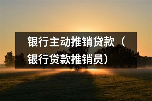 银行主动推销贷款（银行贷款推销员）