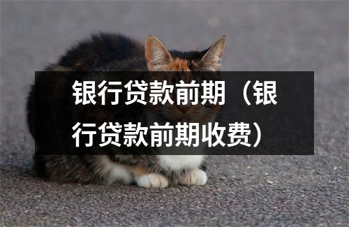 银行贷款前期（银行贷款前期收费）