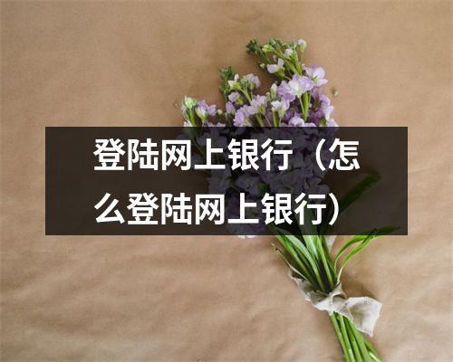 登陆网上银行（怎么登陆网上银行）