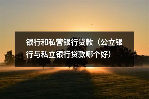 银行和私营银行贷款（公立银行与私立银行贷款哪个好）
