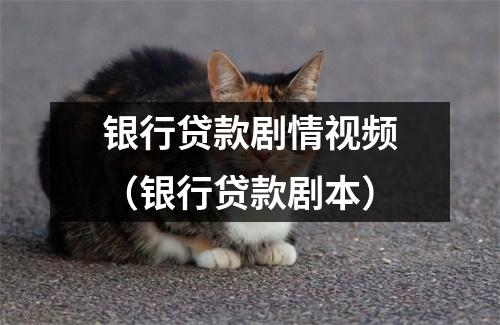 银行贷款剧情视频（银行贷款剧本）