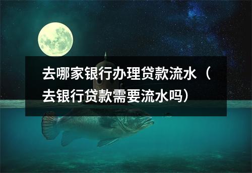 去哪家银行办理贷款流水（去银行贷款需要流水吗）